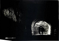 Adventure With Him picture