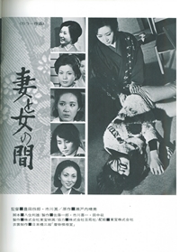 Between Women And Wives Promo Book Page 1