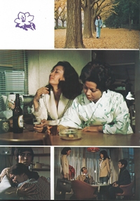 Between Women And Wives Promo Book Page 8