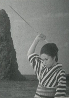 Lady Snowblood image