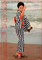 Lady Snowblood Poster