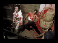 Lady Snowblood Press Still