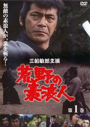 Ronin Of The Wilderness cover