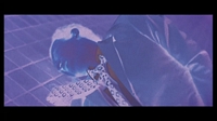 Female Convict Scorpion: Beast Stable Screencap