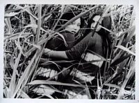 Female Prisoner #701: Scorpion Lobby Card