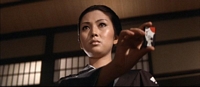 Wandering Ginza Butterfly 2 Screencap