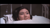 Warm Misty Night screencap