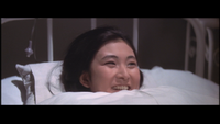 Warm Misty Night screencap