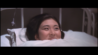 Warm Misty Night screencap