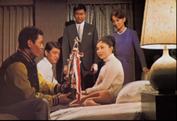 Warm Misty Night press photo
